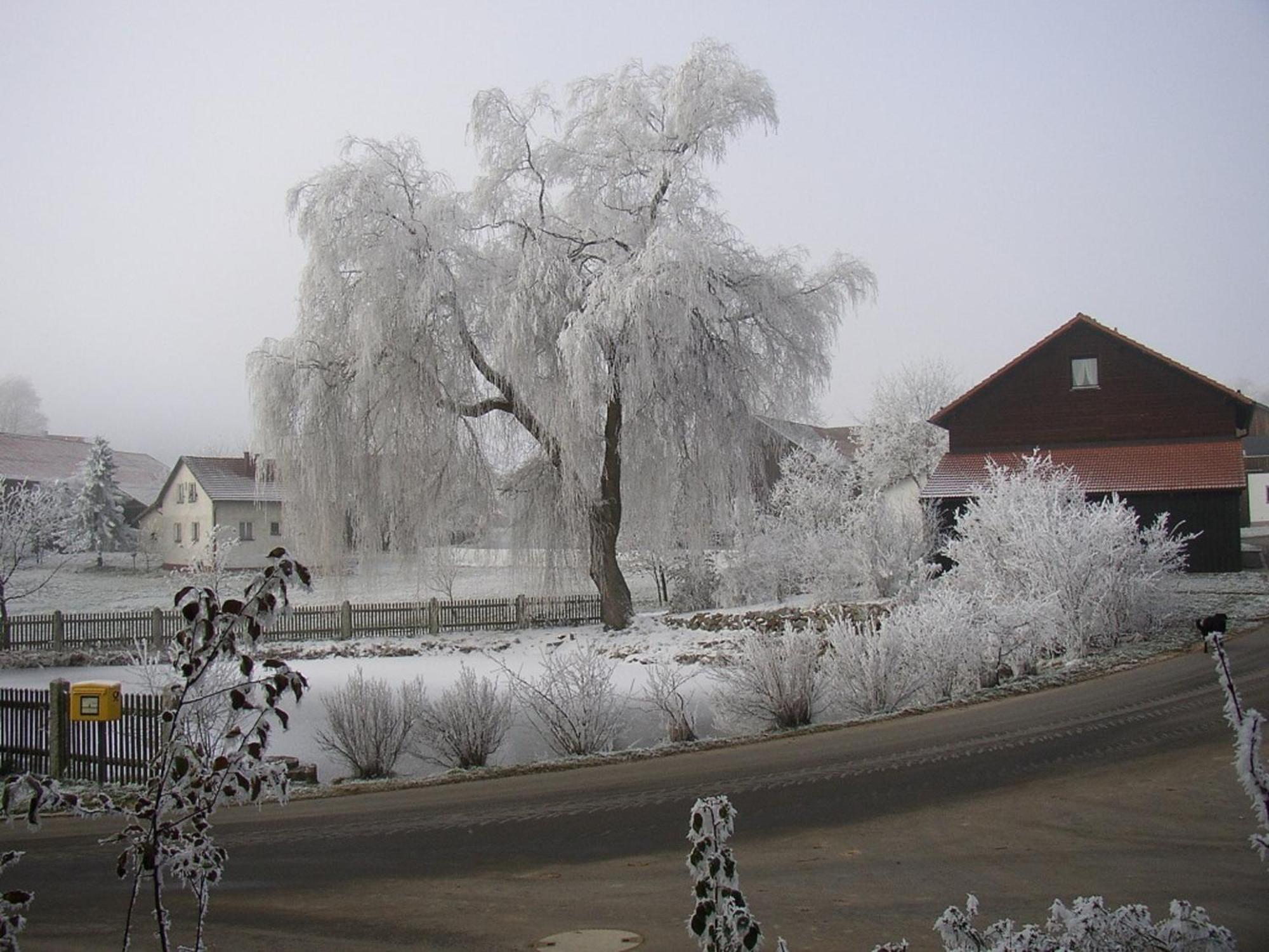 Gasthaus Zur Waldesruh Waffenbrunn 외부 사진