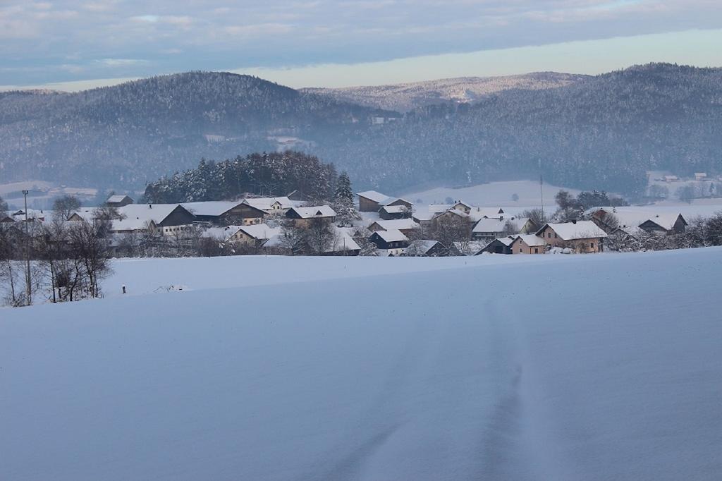 Gasthaus Zur Waldesruh Waffenbrunn 외부 사진