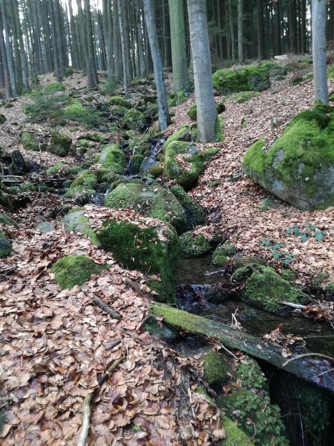 Gasthaus Zur Waldesruh Waffenbrunn 외부 사진