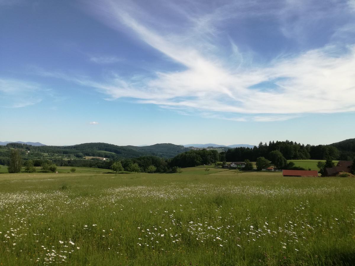 Gasthaus Zur Waldesruh Waffenbrunn 외부 사진